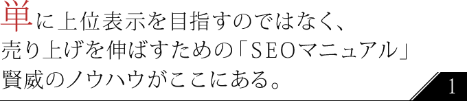  SEO ʕ\
